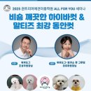피카소동물병원 이미지
