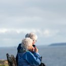 [국가자격증]2024 노인스포츠지도사 시험대비반 | 노인생활지도사 자격증 합격률, 시험일정, 종류 정리