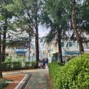 센텀행정사사무소 | 부경대 후문 한식 맛집 삼촌 식당 사이노에 다녀 왔어요~