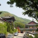 보문사 Daum카페