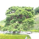 진해구청 이미지