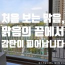 씨유운암모아점 | 광주북구유리창청소, '정직한 청소'가 만든 아파트 창문의 차이