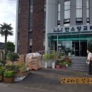 한소망교회 앞 이미지