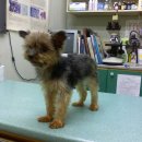 한얼동물병원 이미지