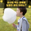 달콤한꿈 이미지