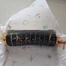 호야네 김밥 이미지