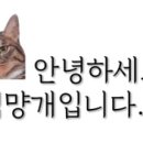 경성떡볶이 이미지
