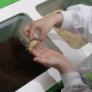 창녕우포곤충나라 이미지