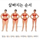 예점핑다이어트