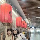 강종식 Daum카페