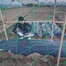 하나로농장-3 이미지