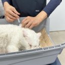 디디동물병원 이미지