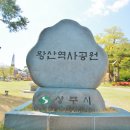 상주 복룡동 석조여래좌상 이미지