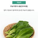 초간단 명이장아찌 만들기~ 이미지