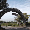 제주 공룡랜드 전시관 이미지