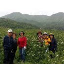 자연농원 이미지