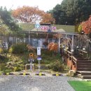 234산장가든 이미지