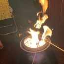 태봉목장 | [가을 가평 데이트]가평 글램핑 솔직한 후기!