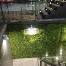 (주)트러플소프트 | 압구정 맛집 압구정 중식 압구정로데오 맛집 "미르차이9"