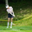 노련