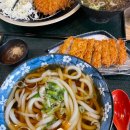 세종 우동 맛집 또또또간집 &#34;우동의 진수&#34; 내돈내산 솔찍후기