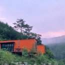 나는숲이다 이미지