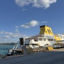 한일렌터카 | 비행기 대신 배로! 반려견과 함께한 제주행｜직접 타본 한일고속페리 골드스텔라｜