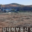 이원선목장 네이버블로그