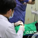 청주지웰유디치과의원 이미지