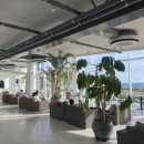 훈데르트힐즈 이미지