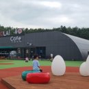 영월치킨센타 이미지