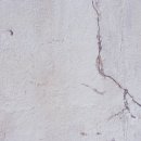 코넬비뇨기과의원 이미지