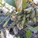 화순중앙병원 이미지