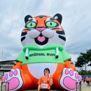 달려라호랑이 이미지