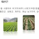 주식회사 조마루 네이버블로그