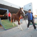 김태희모텔 이미지