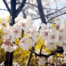 흥천체육공원 축구장 네이버블로그