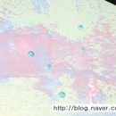 한가람문구센타 이미지