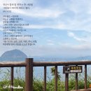 마태
