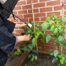 만복경로당 이미지