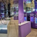 알로안경명동점 이미지