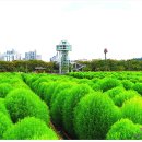 황산공원(황산D)) Daum카페