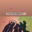 러비 이미지
