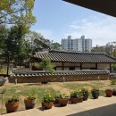 방학동 은행나무 | 파인트리스텀프 방학동 가성비 양식 코스 🍝 주차