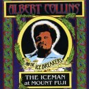 [배일집BLUES]Albert Collins - Iceman Live 이미지
