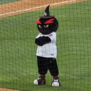 위즈타로 | [수원] 250502 KTvs키움 봉공위즈데이 직관 후기⚾ 수원kt위즈파크 1루 응원지정석 210구역 8열 시야