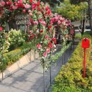 잘생긴부동산중개 이미지