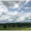 엘림메드 이미지