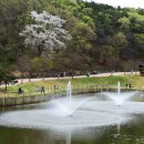 초막골 생태공원 이미지