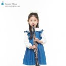 클라리넷 집중레슨 이미지